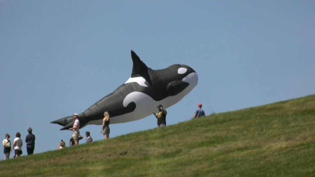 East Coast Kite Festival kicks off in Halifax despite rainy start to Saturday [Video]