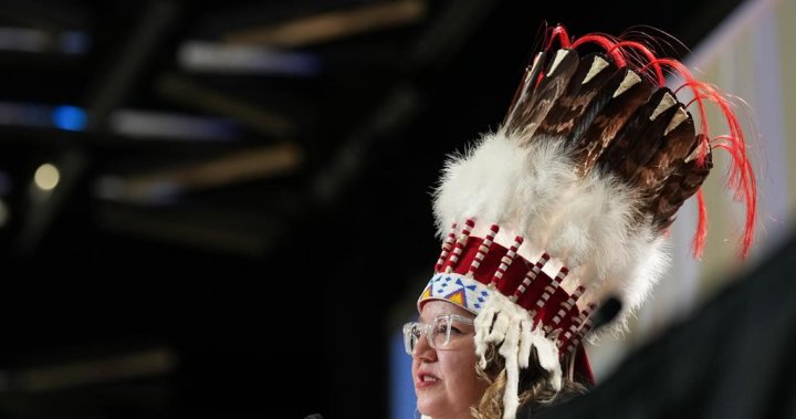 AFN forensic audit wont happen after chiefs pass emergency resolution – National [Video]