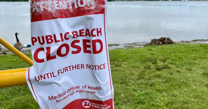 Rogers Cove beach in Peterborough closed due to suspected blue-green algae blooms – Peterborough [Video]