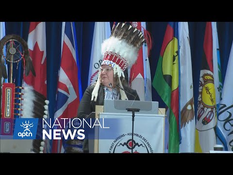 AFN national chief confirms draft settlement on First Nations child reform | APTN News [Video]