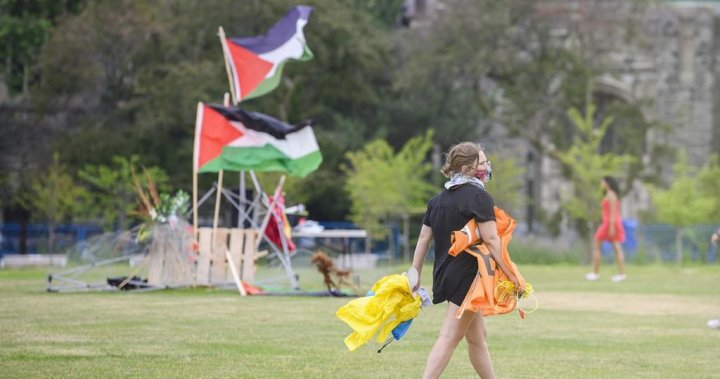 U of T encampment court ruling could affect future campus protests, experts say [Video]