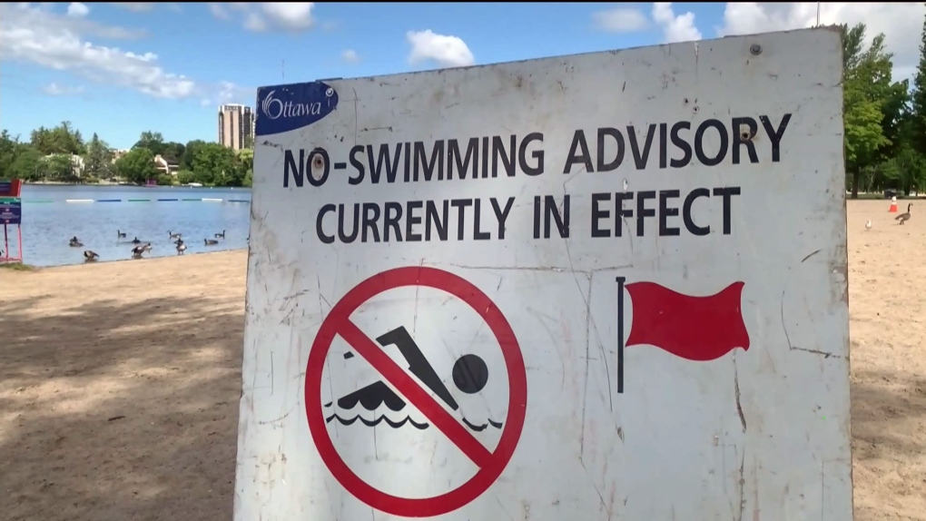 No swimming recommended at Ottawa beaches on Thursday due to E.coli [Video]