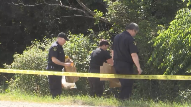 Holmesville murder has police seeking witnesses [Video]