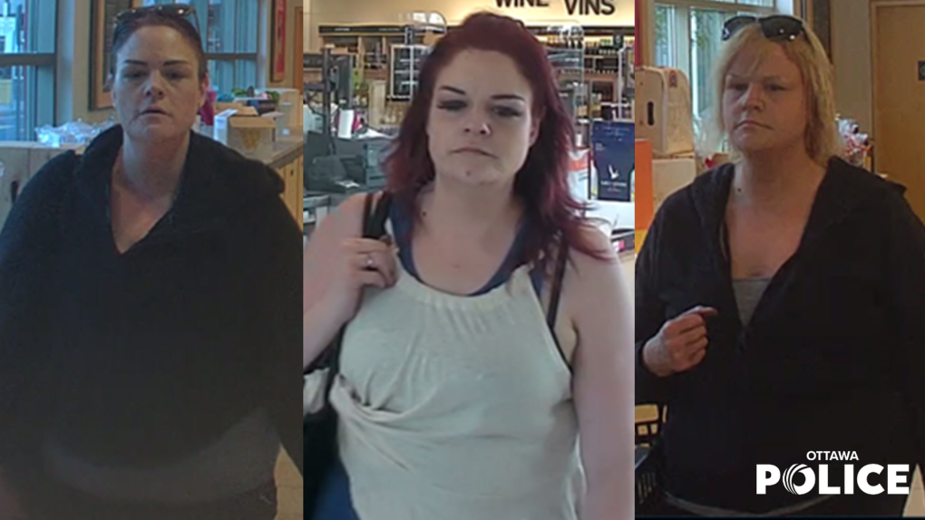 Commercial thefts across Ottawa: Suspect sought by police [Video]