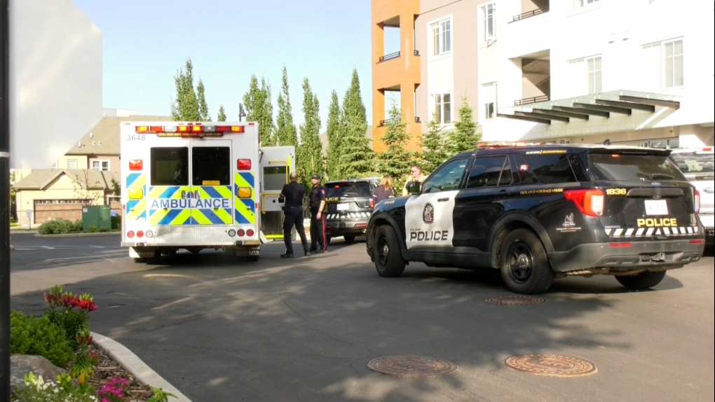 Woman injured in stabbing at southeast Calgary apartment building [Video]