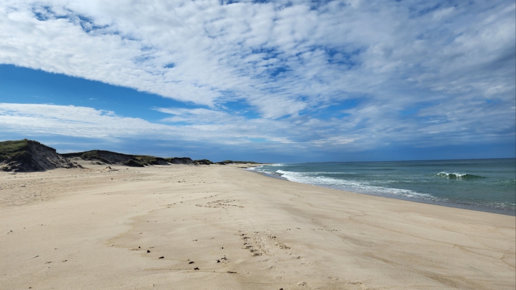 B.C. sailors found dead on Sable Island, N.S. [Video]