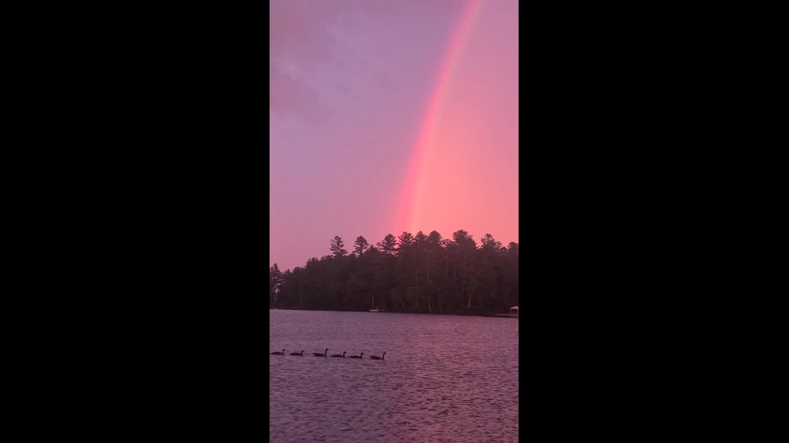 Maranacook Lake this morning with our Canada Geese family under the double rainbow. [Video]