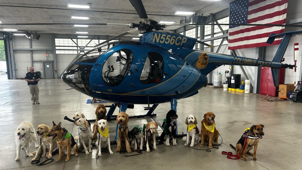 N.B. dog returns from K-9 course in the U.S. [Video]