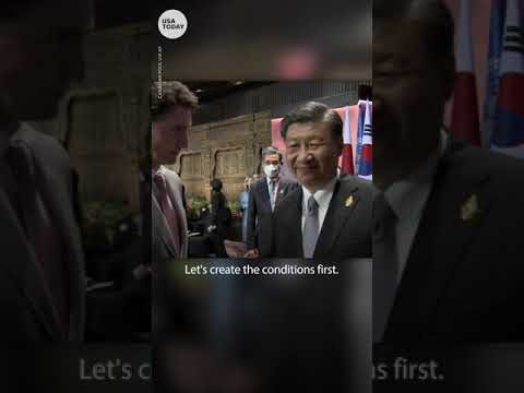 Chinese President Xi Jinping confronts Justin Trudeau at G20 [Video]