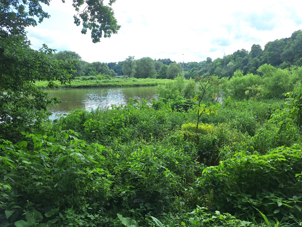 Emergency services searching for two people after report of boaters in distress on Grand River [Video]