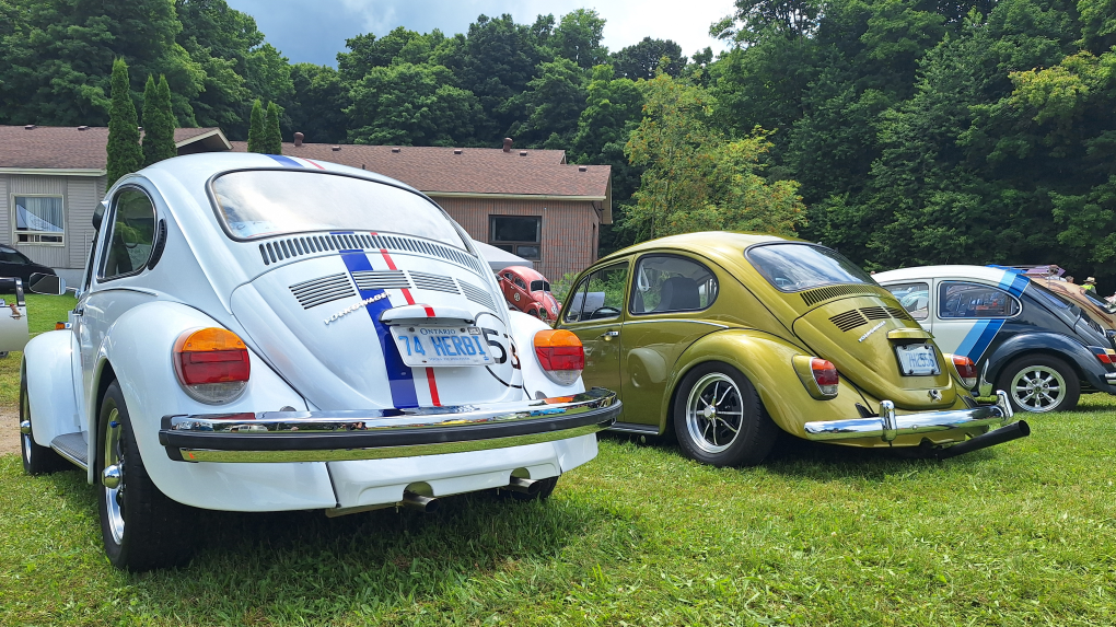 Volkswagen enthusiasts ‘Bug Out’ in Heidelberg [Video]