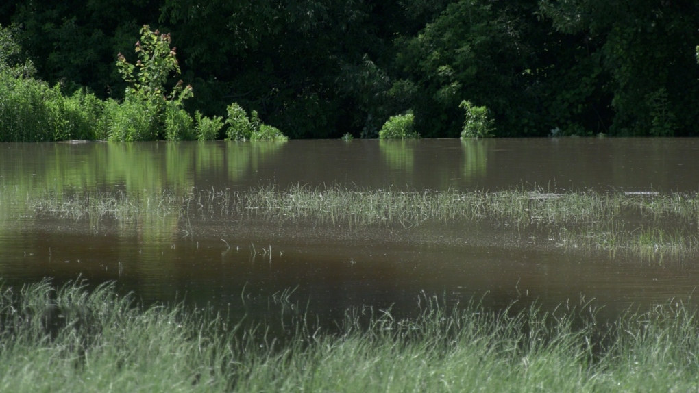 London, Ont. forecast for July 16, 2024 [Video]