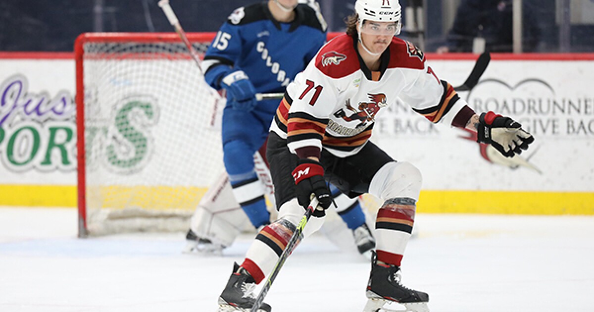 Grand Rapids Griffins sign Chaz Reddekopp for 2024-25 season [Video]