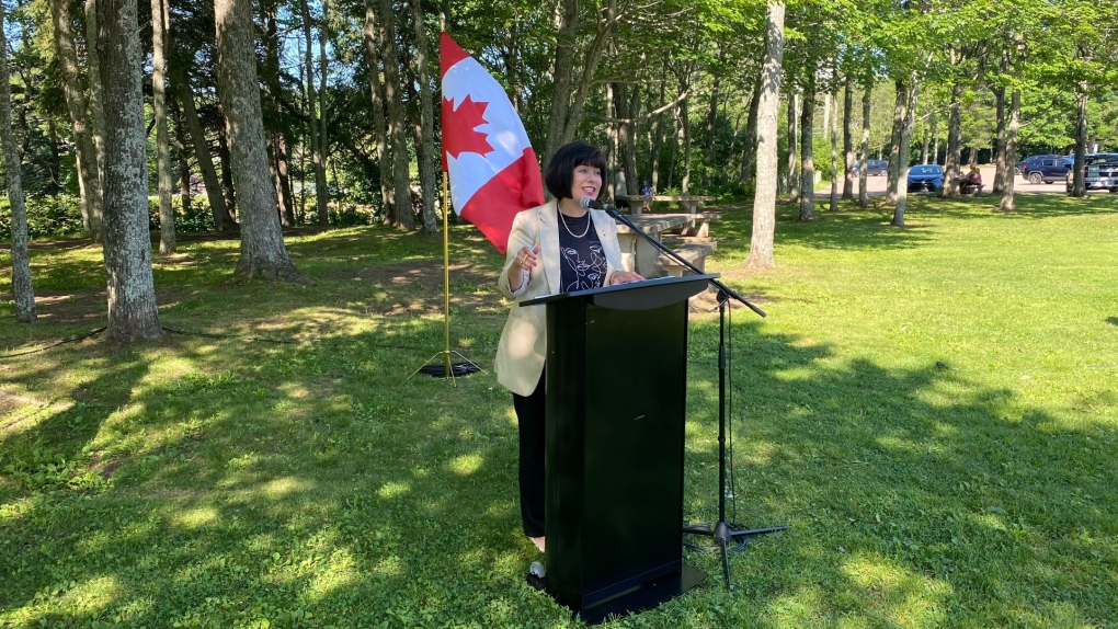 N.B. news: Tree planting projects announced [Video]