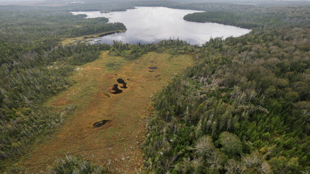 N.S. news: Province seeking feedback on new protected areas [Video]