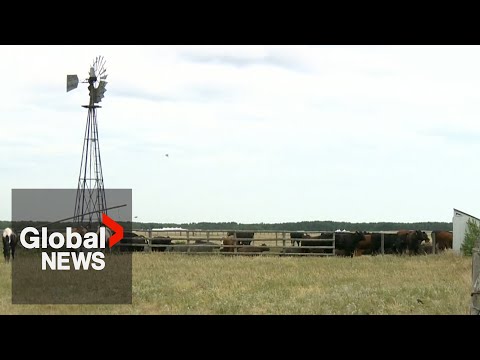 Ste. Madeleine village lands returned to Manitoba Métis [Video]