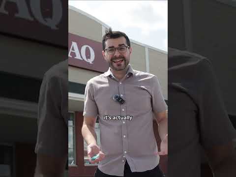 Ontarians flocking to Quebec stores during LCBO strike [Video]