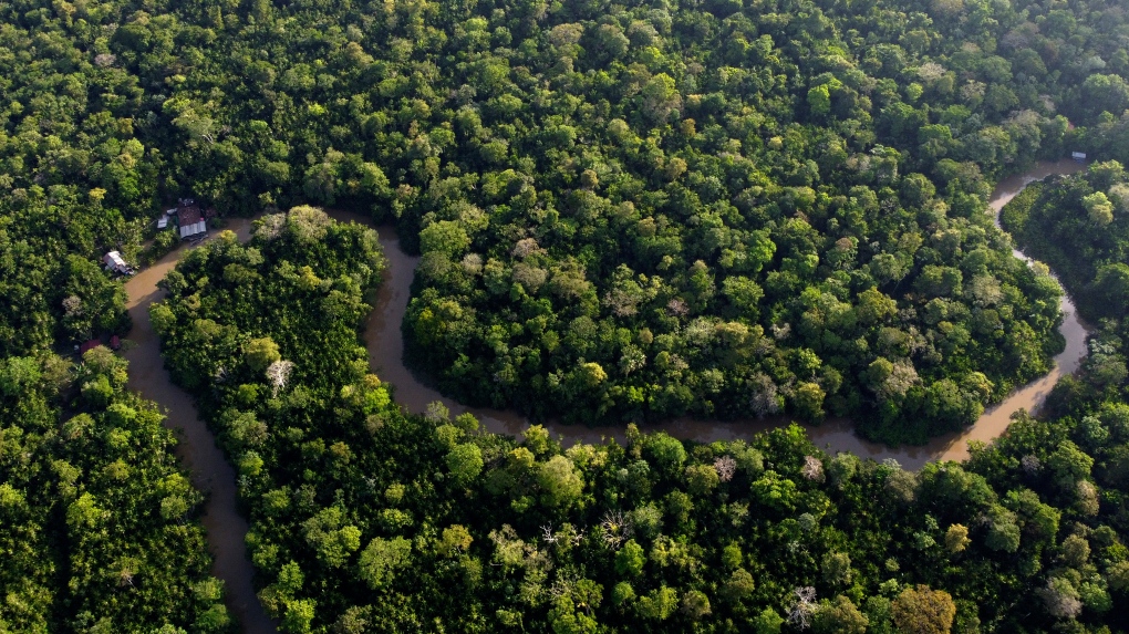 Amazon deforestation: Brazil to expand selective logging [Video]