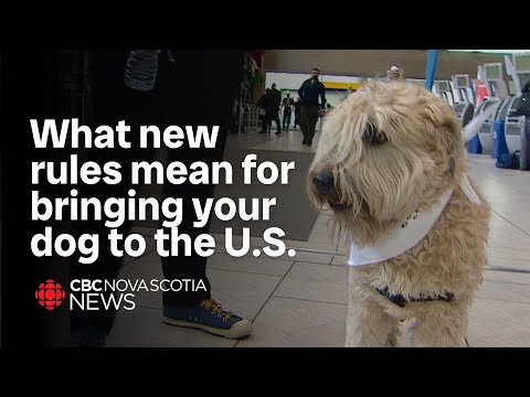 What new U.S. rules mean for guide-dog owners [Video]