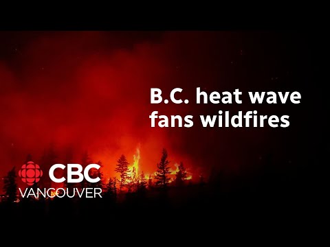 Thousands on evacuation alert in B.C. due to wildfires [Video]