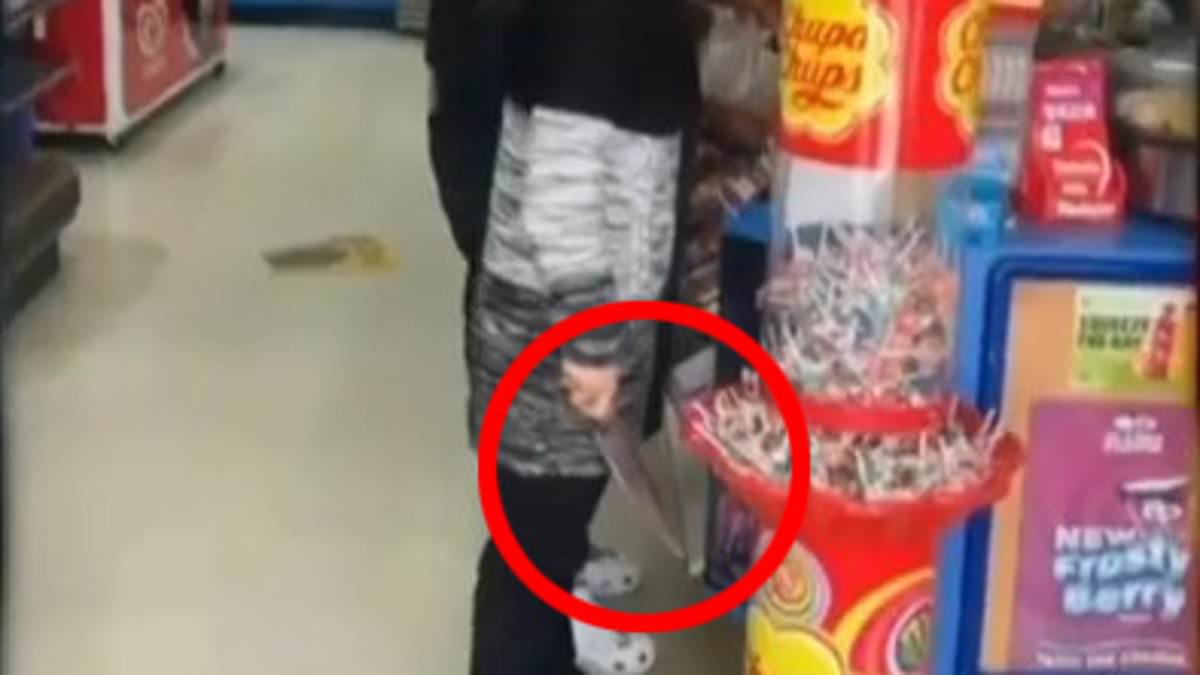 Wild moment angry Brisbane shopkeeper confronted teens with a massive knife before they allegedly rammed her Friendly Grocer store at Newport to free a mate [Video]