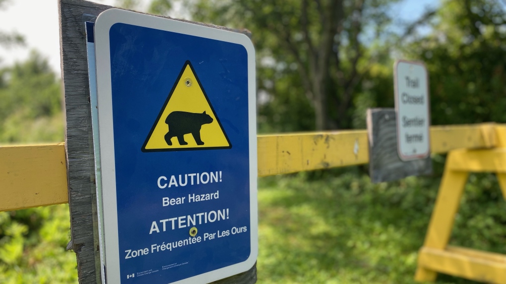 N.B. news: Bears seen at nature centre [Video]