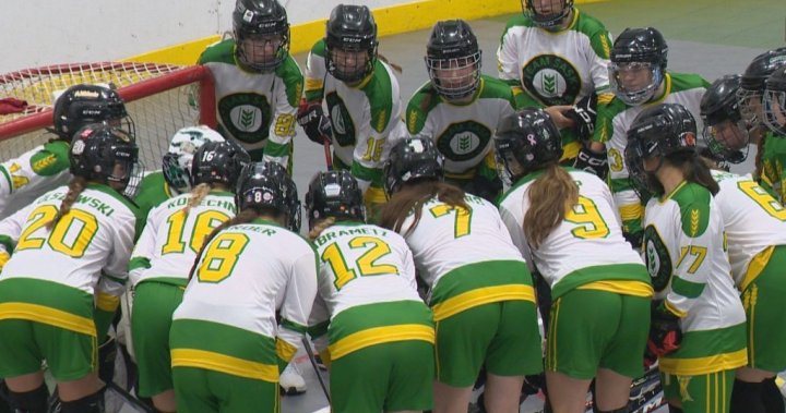 New junior girls ball hockey program opening doors for Team Saskatchewan at nationals [Video]