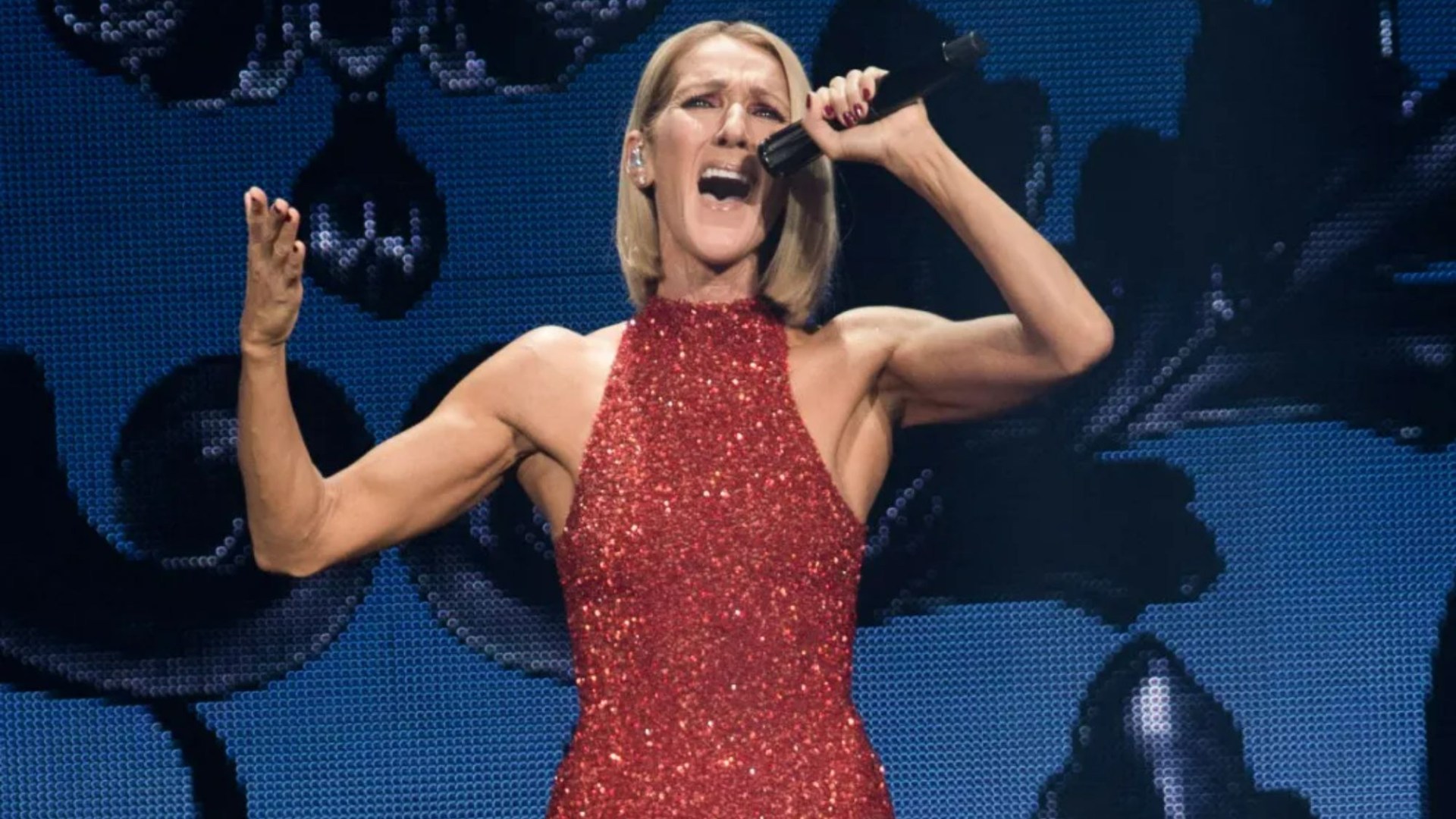 Is Celine Dion French? | The Sun [Video]