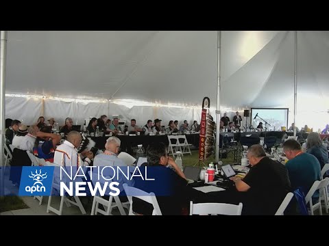 Assembly of Manitoba Chiefs to vote for grand chief at annual assembly | APTN News [Video]