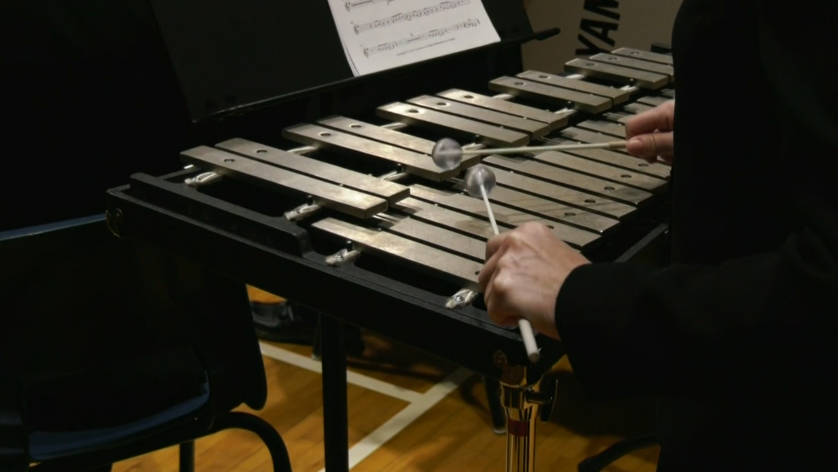 Nova Scotia professor calculates musical harmony [Video]