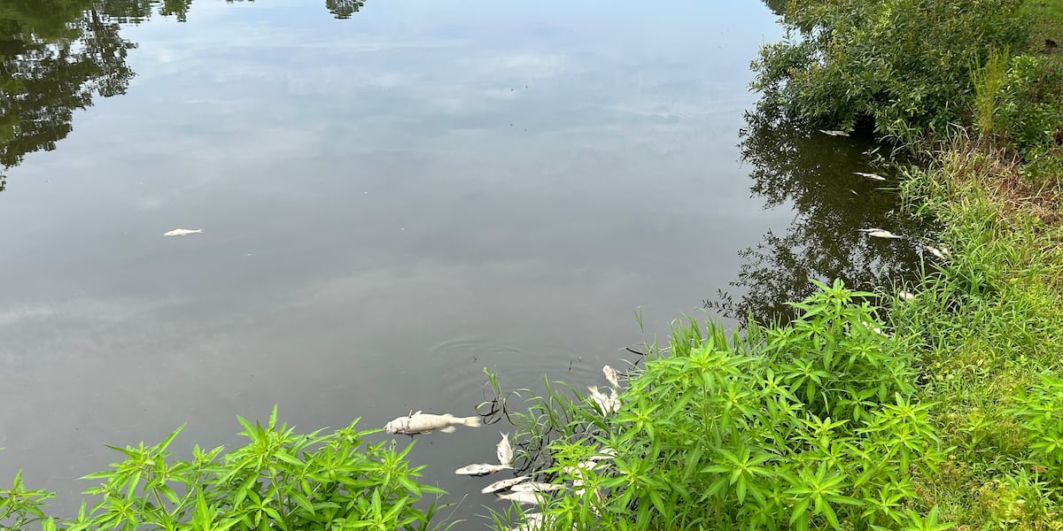 Bolivia resident believes open burning caused death of over 200 fish in his pond [Video]