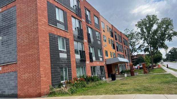 Deputy mayor responds to calls for improved security at London public housing sites [Video]