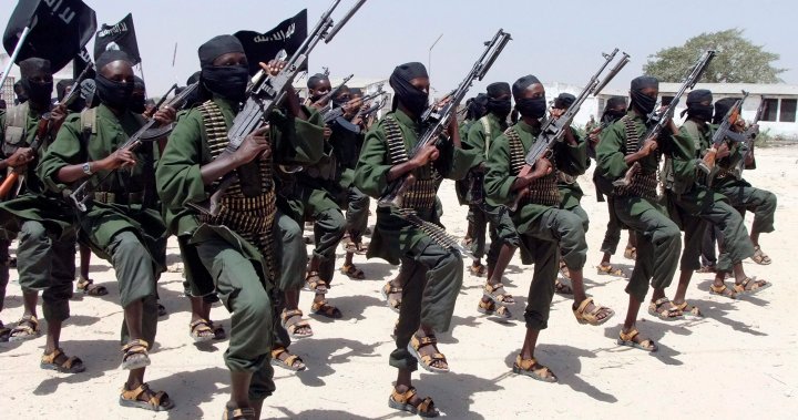 Parts of Africa at risk of falling under control of ISIS groups, UN hears – National [Video]