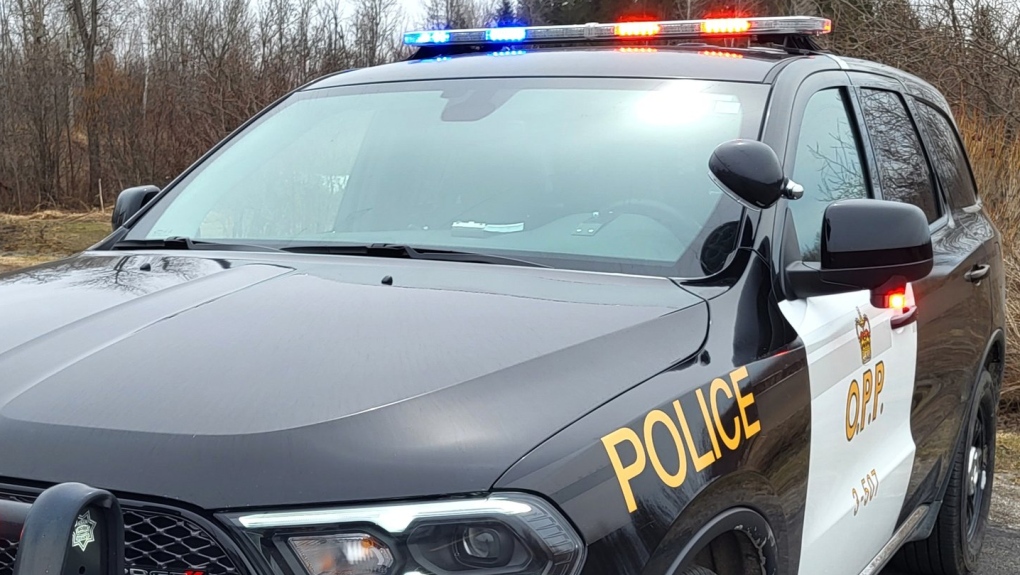 Brant County homeowner charged with assaulting a police officer [Video]