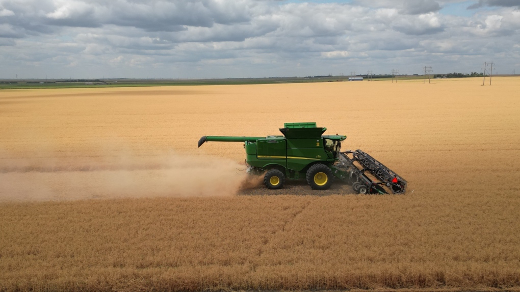 Sask. harvest 2% complete, crops rapidly advancing due to heat [Video]