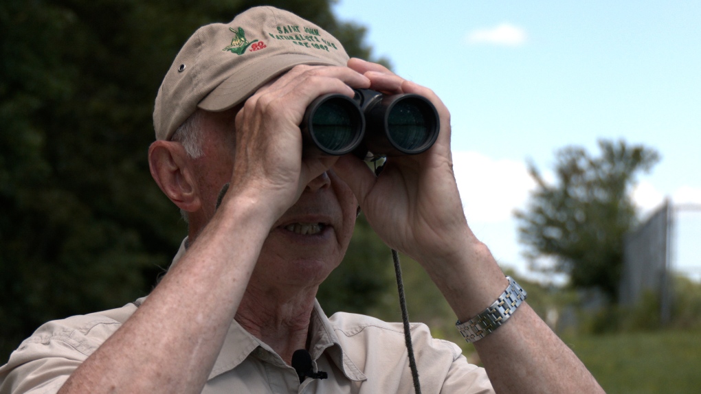 New Brunswick man finds his 400th species of bird [Video]