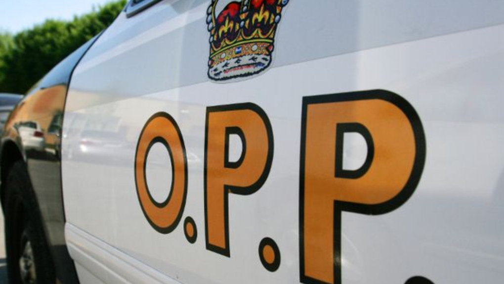 Ontario police charge driver found sleeping at police station [Video]