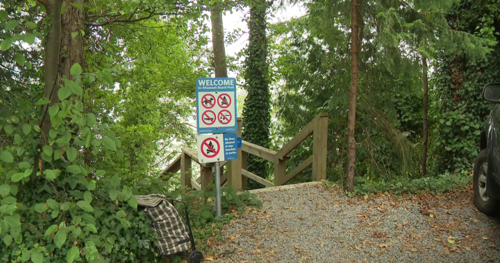 West Vancouver mayor pledges positive solution to controversial sale of public beach access – BC [Video]