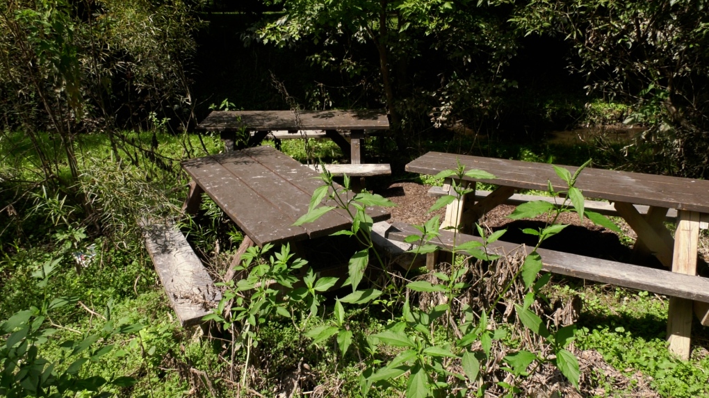 Strathroy-Caradoc parks damaged after July rain [Video]