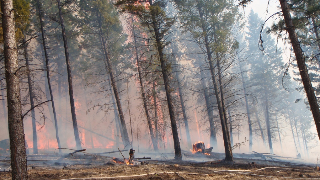 B.C. wildfire situation improving but could change quickly [Video]