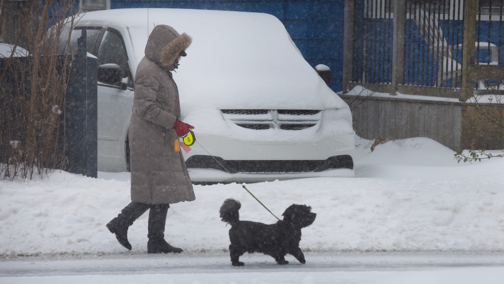 Farmers’ Almanac Canada: Winter weather forecast [Video]