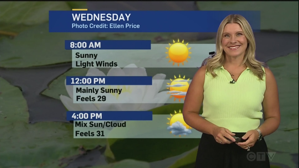 London and area weather for August 14 [Video]