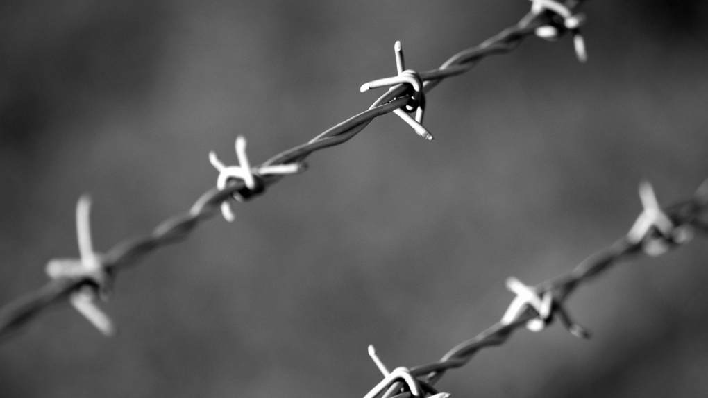 Driver charged after crashing into fence, dragging several branches and 20 feet of barbed wire [Video]