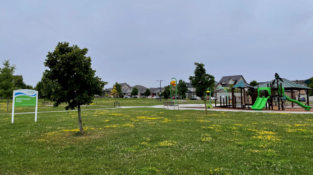 Teen charged after firework assault in Guelph [Video]