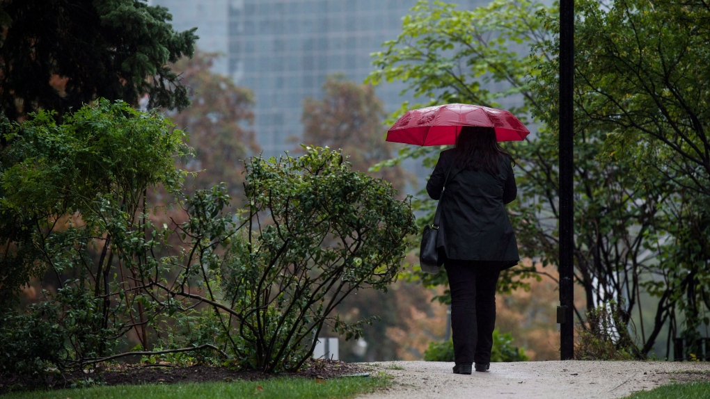 Toronto, southern Ontario could see ‘significant rainfall’ this weekend [Video]