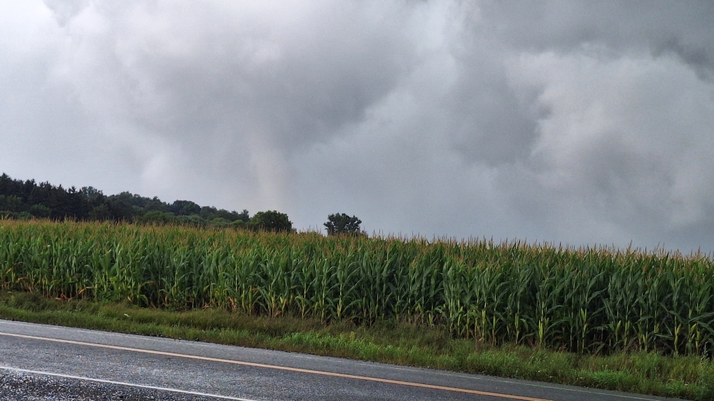 Tornado in Ayr, Ontario | CTV News [Video]