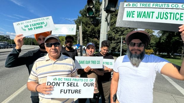 Growers call for gov’t intervention amid B.C. Tree Fruits’ closure [Video]