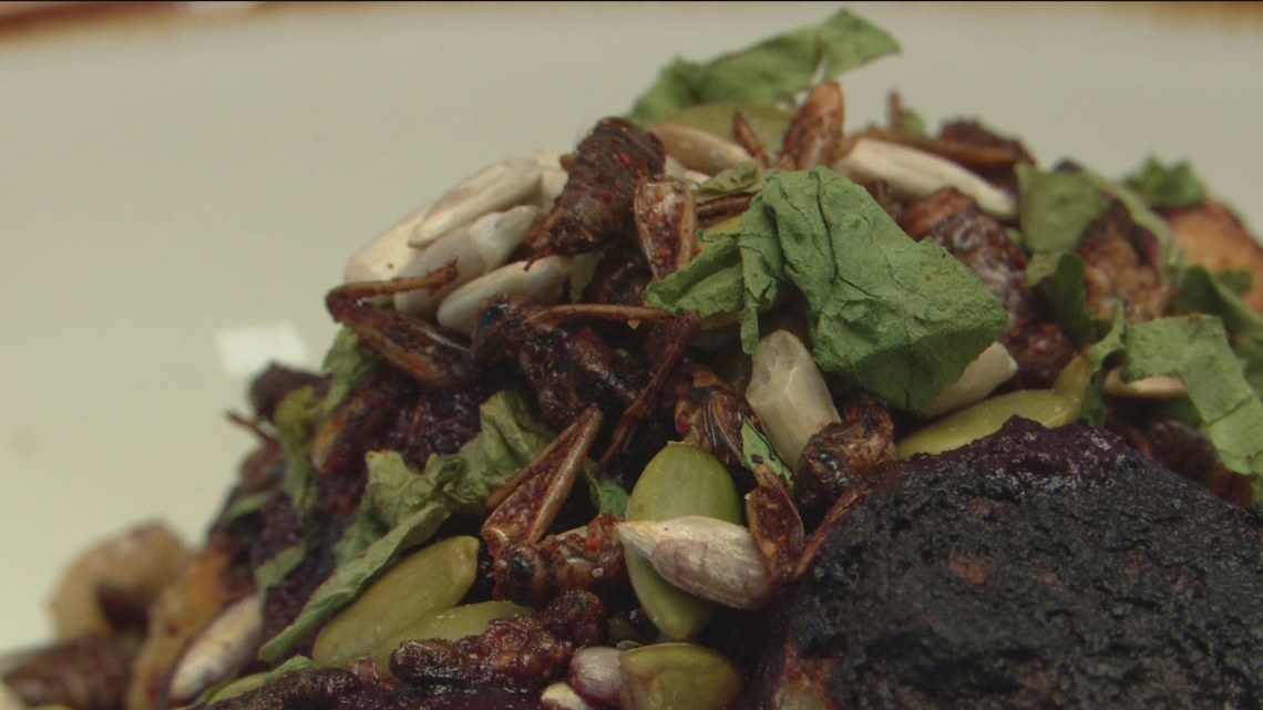 Owmani brings Indigenous foods to the Minnesota State Fair [Video]