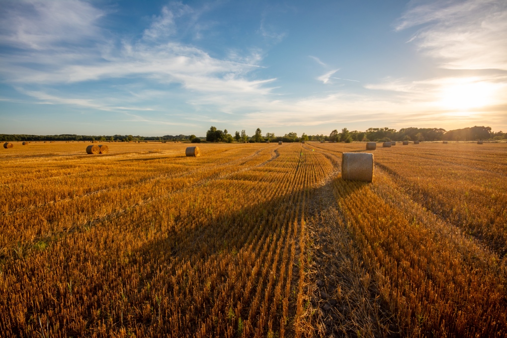 London area forecast for the last week of August [Video]