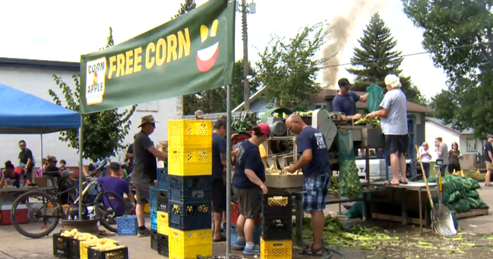 We go through about 50,000 cobs of corn: Manitoba festival ready to feed visitors – Winnipeg [Video]